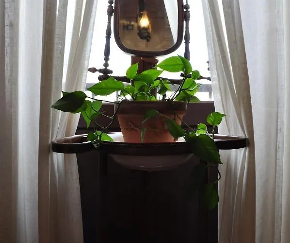 Apartment Deluxe Calle Corredera Jerez de la Frontera