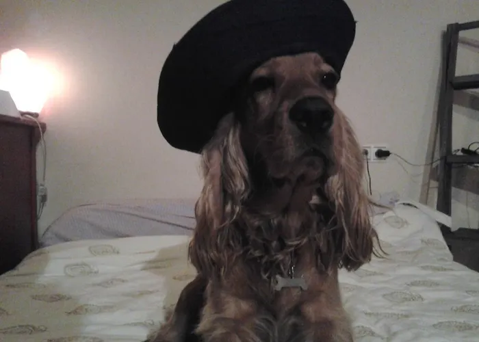 Deluxe Calle Corredera